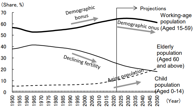 Figure: Changes in the Age Structure of the Population in India