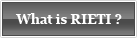 What is RIETI?
