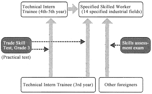 Figure: Conditions for becoming a Specified Skilled Worker