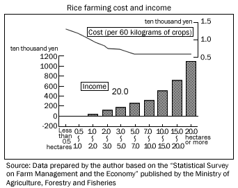 Rice farming cost and income