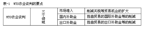 表-1  WTO农业谈判的要点