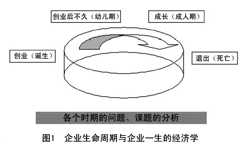 图1 企业生命周期与企业一生的经济学