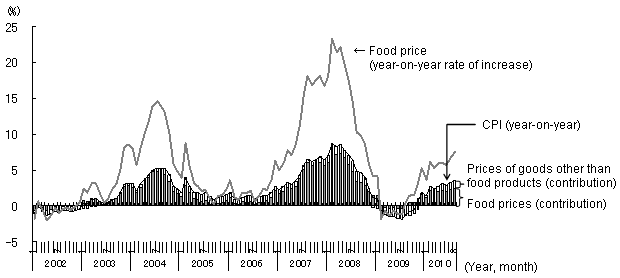 Figure 5: Rises in Food Prices Making a Large Contribution to Inflation