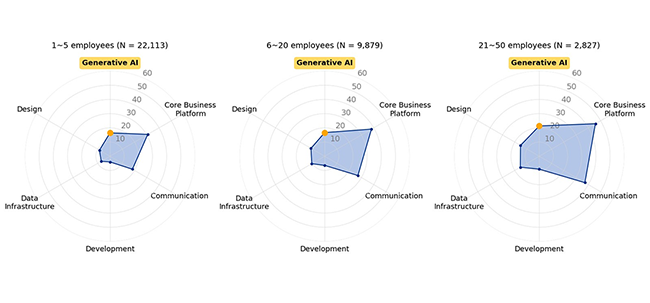 Figure 2. Layered Digital Capability by Firm Size (as of December 2024) 