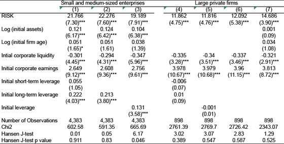 Table 2. Risk Taking and Corporate Earnings