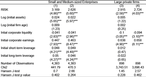 Table 3. Risk Taking and Corporate Earnings During the Crisis