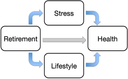 Figure 1. Hypothetical Relationship Between Retirement and Health