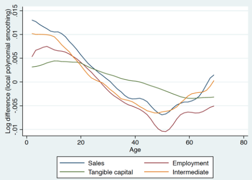 Figure 1. Age and Growth Rates in Sales and Inputs