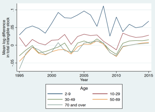 Figure 2. Investment Rate of Intangible Capital by Firm Age Groups