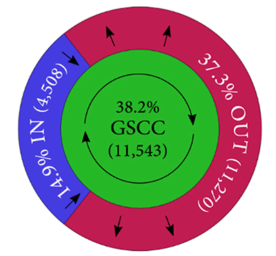 Figure 1. Money Flow Among Firms' Accounts Forms a Walnut Structure