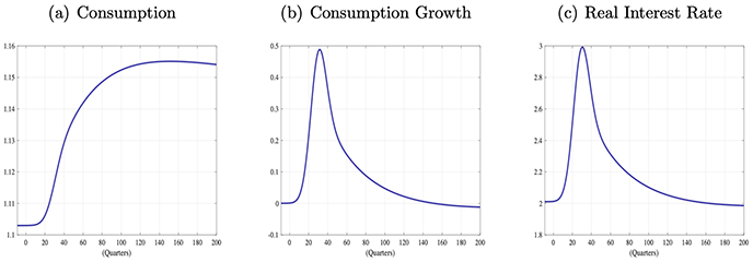 Figure 3. Perfect Foresight Equilibrium Paths