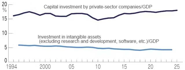 Capital investment and investment in intangible assets