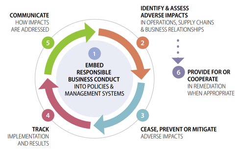 Figure 1. Due Diligence Process & Supporting Measures