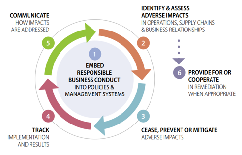 Figure 1. Due Diligence Process & Supporting Measures Figure 1. Due Diligence Process & Supporting Measures