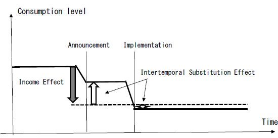 Income Effect and Intertemporal Substitution Effect by the Consumption Tax Rate Hike