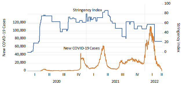 Figure 1. Index Measuring the Stringency of COVID-19 Restrictions and Number of New COVID-19 Cases in Turkey