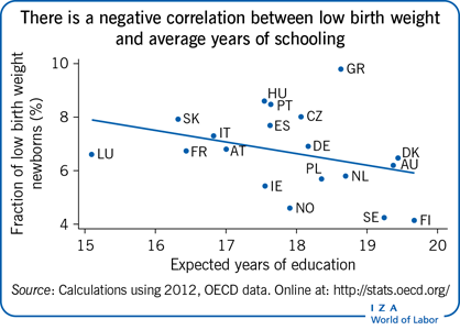 There is a negative correlation between low birth weight and average years of schooling