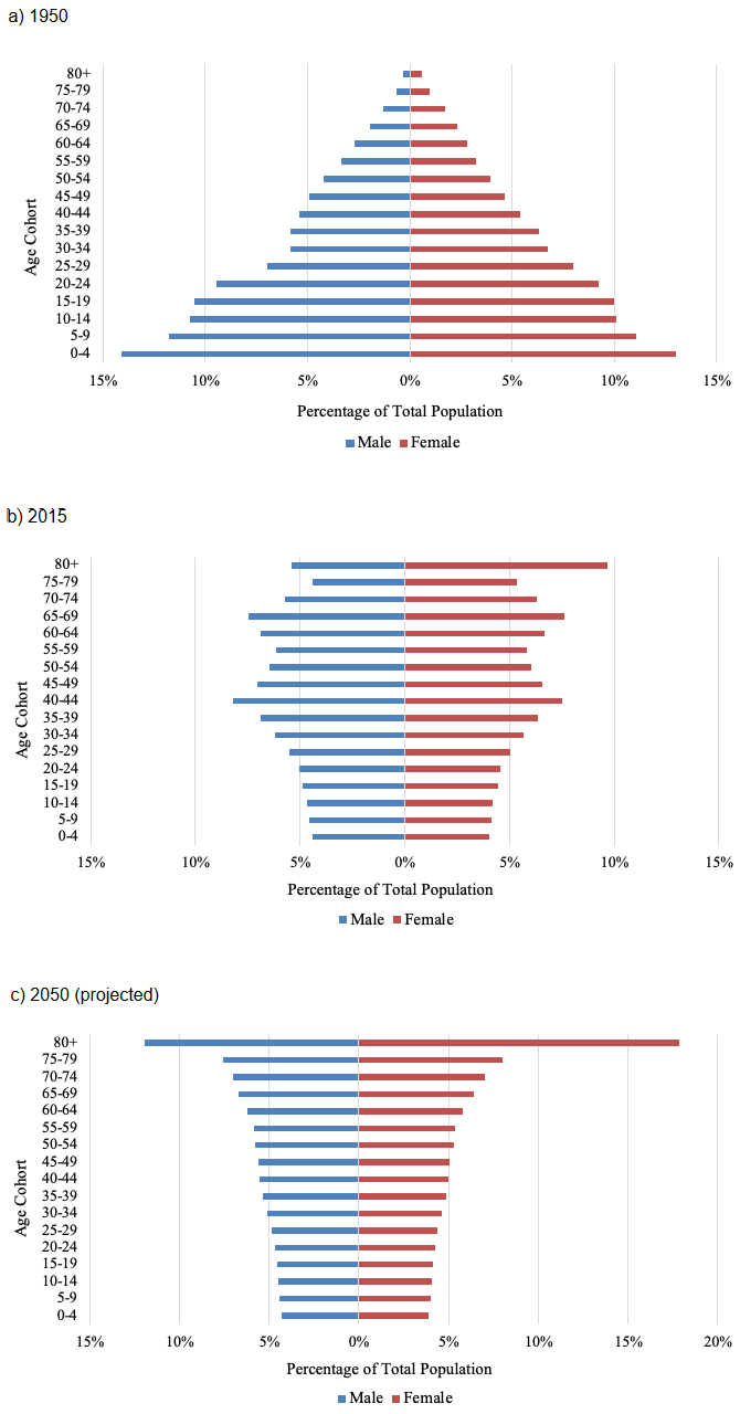 Figure 1. Population of Japan by Age and Sex