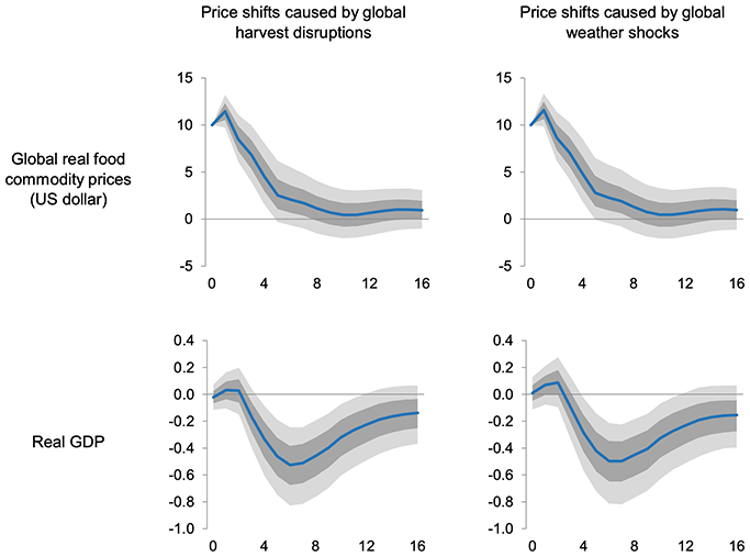 Figure 2. Dynamic Responses to a 10% Increase in Global Food Commodity Prices