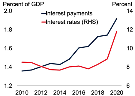 Figure 3. Interest Rates and Payments in EMDEs