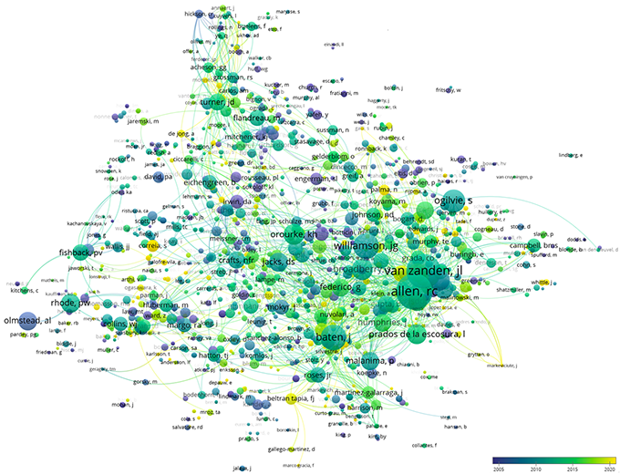 Figure 2 Bibliometric network of authors