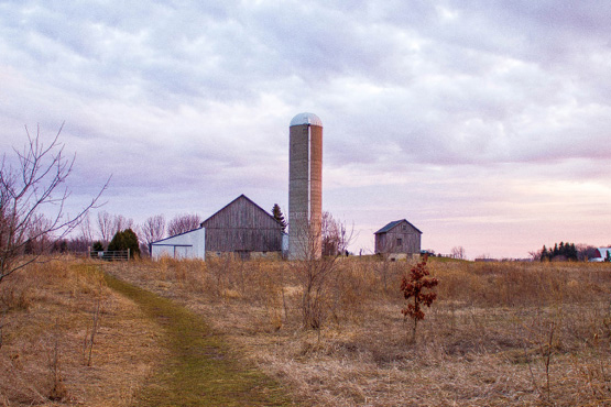 Photo: Silos