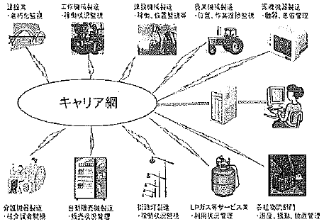 図4：隠れたチャンピオンの数