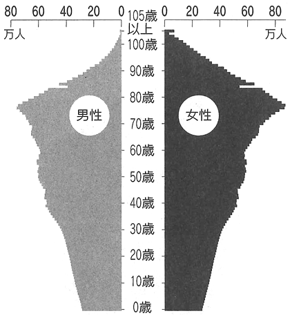 図:2050年の人口ピラミッド予測 図:2050年の人口ピラミッド予測