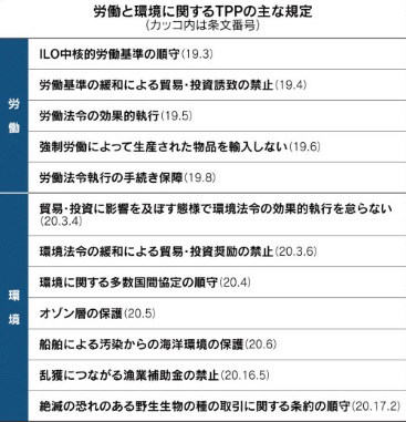 表：労働と環境に関するTPPの主な規定