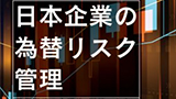 Foreign Exchange Risk Management of Japanese Firms: Rationality, Strategy, and Currency Choice Puzzles