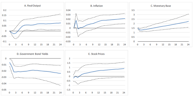 図2：積極レジームにおけるマネタリーベースショックのマクロ経済効果