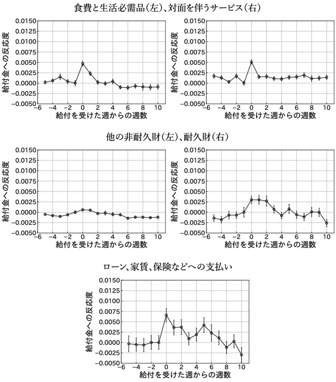 図5：消費カテゴリーごとの消費の反応