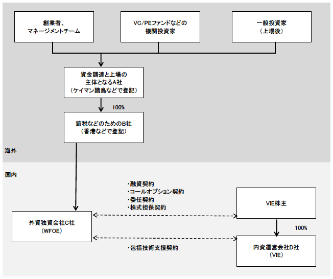 図3　典型的VIEスキームの構造