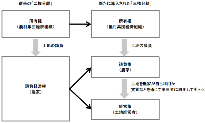 図表2 農業用地の「二権分離」から「三権分離」へ 図表2 農業用地の「二権分離」から「三権分離」へ
