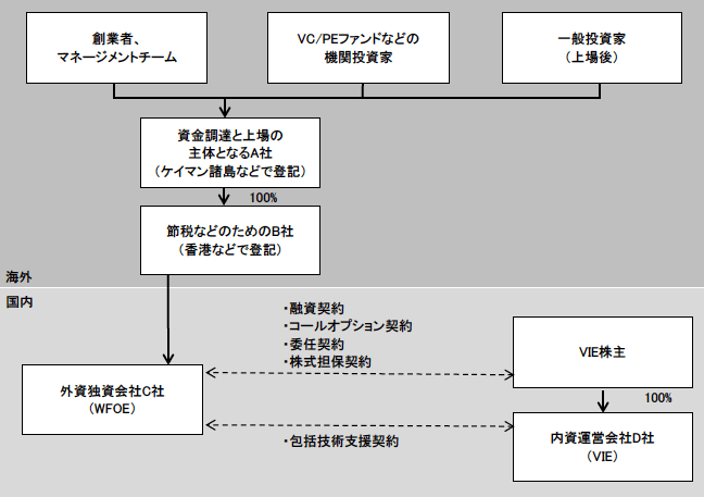 図　典型的VIEスキームの構造