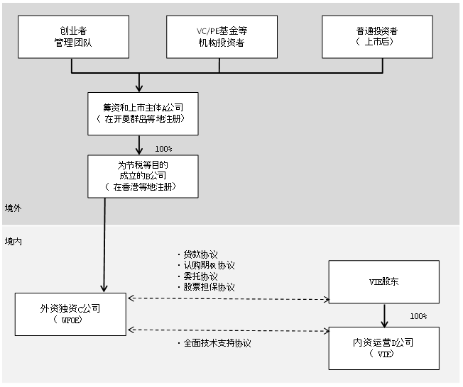 图3  典型的VIE结构