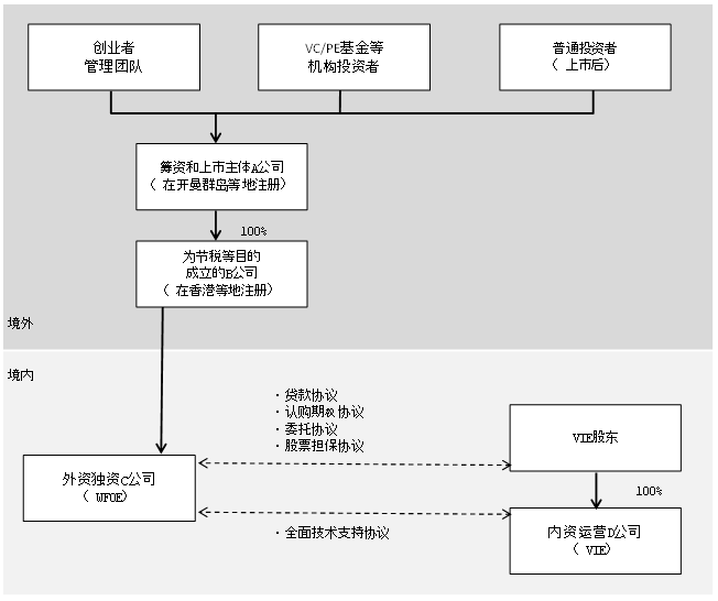 图3 典型的VIE结构 图3 典型的VIE结构