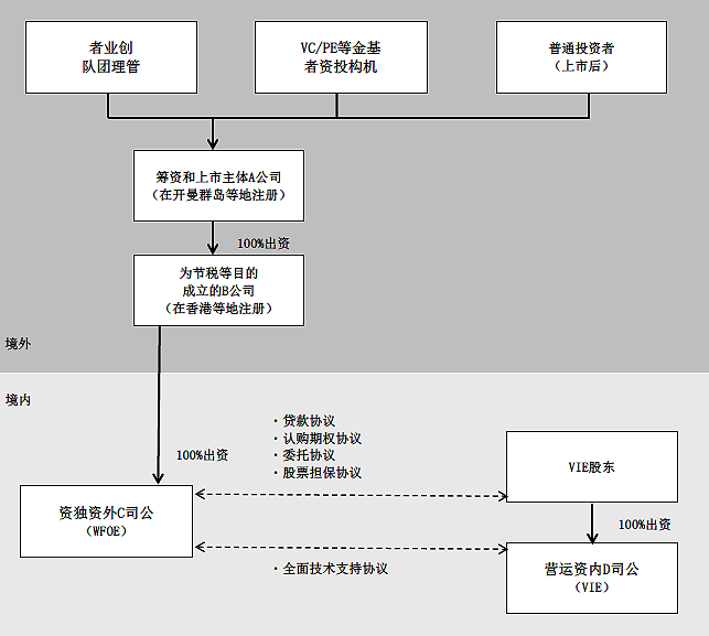 图 典型的VIE构架